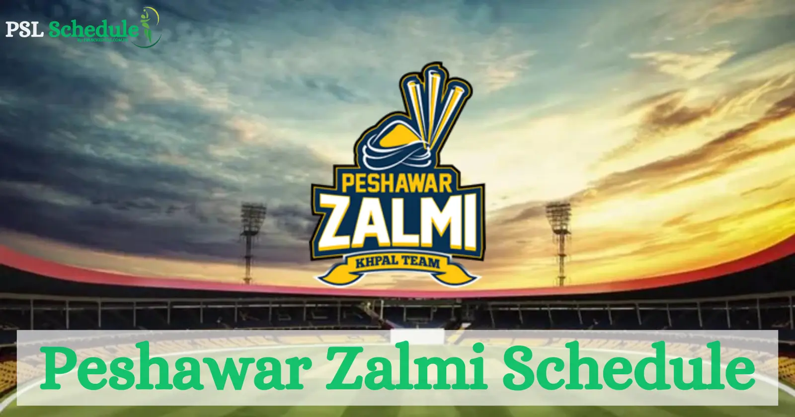 Zalmi Keep Playoff Hopes Alive with Big Win in PSL 2025