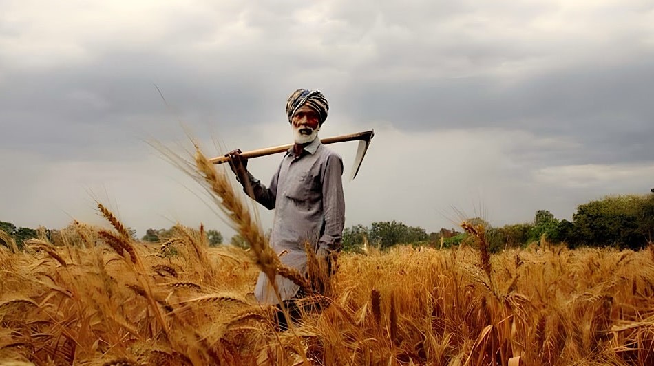 Punjab Farmers to Get Rs. 5,000 Wheat Subsidy